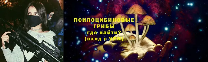 Псилоцибиновые грибы Psilocybe  Шумерля 